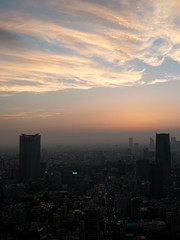 Tokio Skyline Silhouette_portrait format