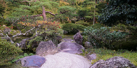 Beautiful garden in Kyoto Japan