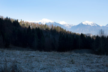 Morning in the mountains. Slovenia