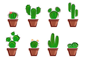 Cactus set. Collection icon cactus. Vector