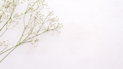 minimalistic monochrome composition with white flowers on a white wooden background. .Valentines...