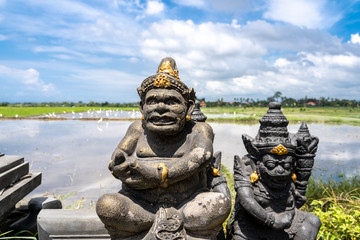 Hindu statues in front of a rice field with water and storks inside