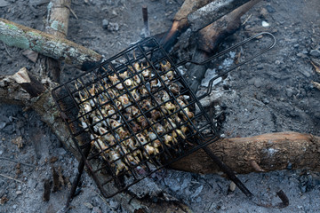 Small frog Grill on the stove, Rural food of Thai people.