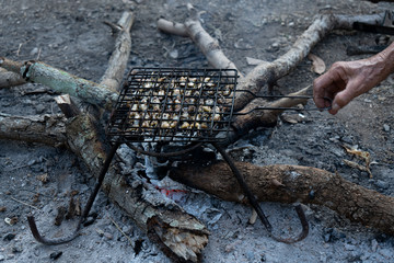Small frog Grill on the stove, Rural food of Thai people.