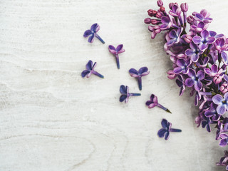 Beautiful, bright lilac lying on a white, wooden table. View from above, close-up