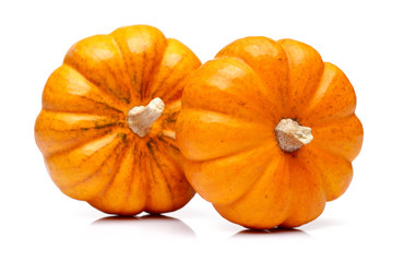 Two mini pumpkin isolated on white
