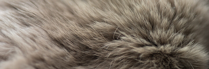 Brown rabbit fur close up. Macro photo. Selective soft focus