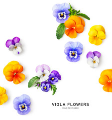 Spring viola pansy flowers composition