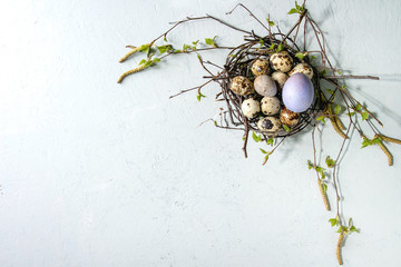 Colored chicken and quail Easter eggs in birds nest with young blooming birch branches over light...