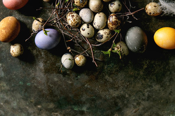 Colored chicken and quail Easter eggs in birds nest with white feather over dark metal texture...