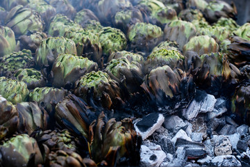 Baked artichokes in the brazier cooking for saling and eating at the market place.