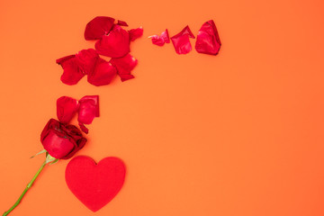 Red heart and red rose on orange background,