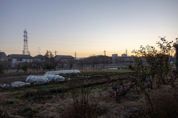 Obraz premium 東京郊外の冬の畑