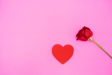 Heart color red and red rose on the pink color background,
