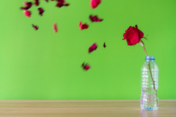 red rose in bottle plastic on green background,