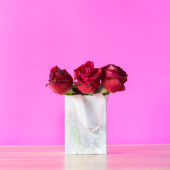 Red rose in gift box on the color pink background,