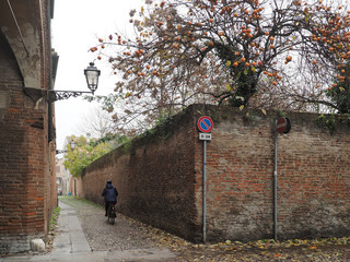 Ferrara, Italy. Old town, cobbled street, bicycle, persimmon tree.