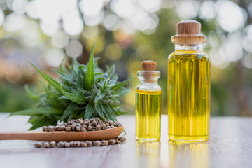 Hemp oil in a glass bottle. Hemp seeds in a wooden spoon and hemp leaves are placed on the table. The idea of extracting marijuana leaves as oil for natural diseases treatment.Natural herbal medicine.