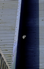  Blue corrugated roof