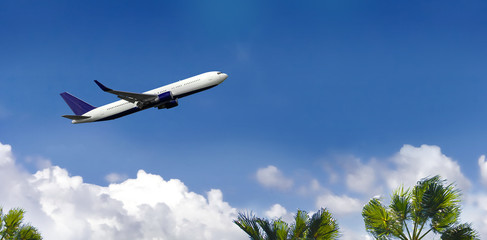 Fototapeta na wymiar White airplane flying above the palm trees.