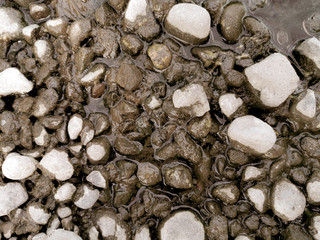Texture of small stones mixed with water, moss and soil