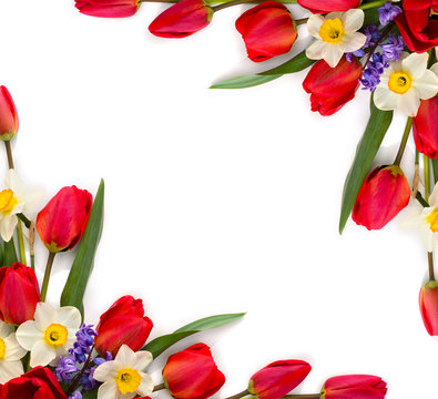 Decoration of Women's Day or Mother's Day. Frame of red tulips, narcissus, hyacinths and flowers muscari on white background with space for text. Top view, flat lay