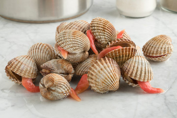 Heap of Prickly cockles with an extending long foot
