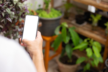 Mockup image blank white screen cell phone.woman hand holding texting using mobile on desk at coffee shop.background empty space for advertise text.people contact marketing business,technology 