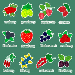 Sticker collection set of ripe berries, icon of twelve elements in a white stroke on a green background with text. For your design cards, scrapbooking, crafting. Flat design, vector illustration