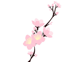 桜の花イラスト素材