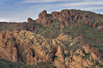 Spring landscape shortly after sunrise along the Apache Trail, Tonto National Forest, Arizona, USA