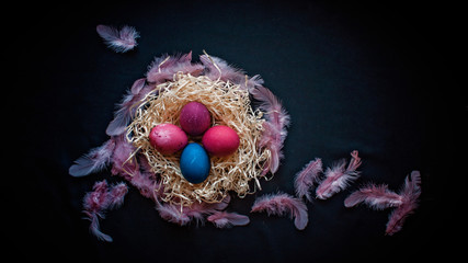 Alternative Easter composition in dark style with eggs, feather and hands of senior woman over black background