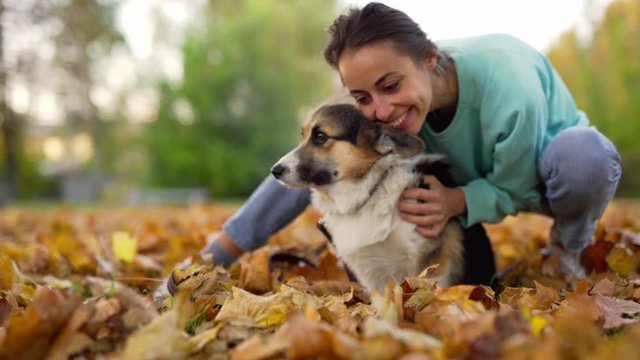 happy smiling woman huging and playing with Welsh Corgi Pembroke dog in a park outdoors. Young female owner huging pet in park at fall on the orange foliage background. Focus on the dog.