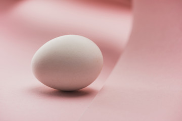 close up view of chicken egg in shadow in spiral paper pink swirl