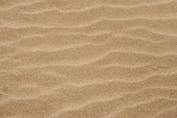 Fototapeta na wymiar Close up detail sand texture for background