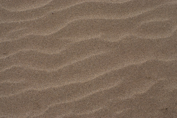 Close up detail sand texture for background - 317030542