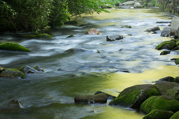 Spring landscape of the Oconaluftee River captured with motion blur and illuminated by reflected color from sunlit foliage, Great Smoky Mountains National Park, North Carolina, USA