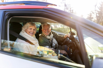 Happy senior couple with their new car 