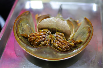 Horseshoe crab on tray, prepare for cooking.