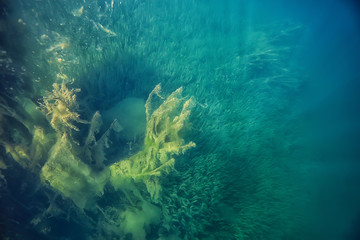 Fototapeta na wymiar lake underwater landscape abstract / blue transparent water, eco nature protection underwater