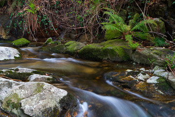 Jerte Valley