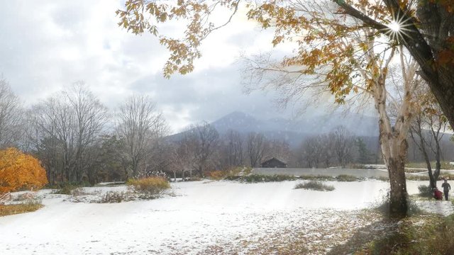 Beautiful first snow in autumn, Mt. Hakkoda, Japan