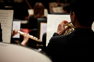Playing the horn in orchestra  © mnimage
