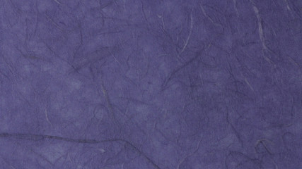 Fototapeta premium 和紙のテクスチャー素材