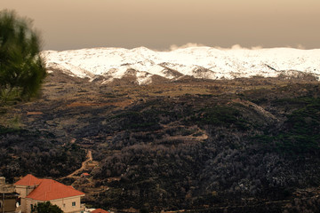 The mountains of Lebanon were once shaded by thick cedar forests and tree is the symbol of country....