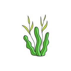 Seaweed cute vector illustration. Hand drawn outlined ocean, marine, sea green seaweed. Isolated.