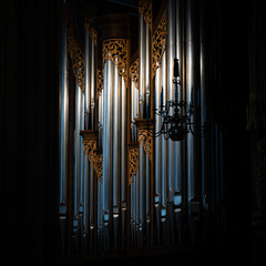Pipe Organ