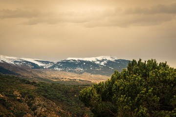 The mountains of Lebanon were once shaded by thick cedar forests and tree is the symbol of country. Beautiful landscape of mountainous town in winter, Eco tourism, Chouf district  with large vistas