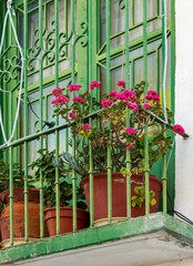 Fototapeta na wymiar Flowerpots of Geraniums on a green balcony