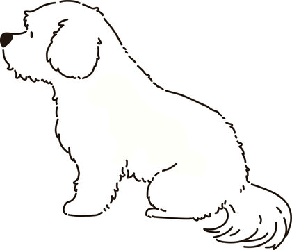 Illustration Of Outlined Maltese Puppy Sitting